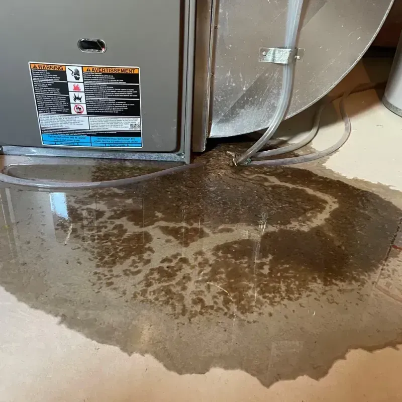 Appliance Leak Cleanup in Warsaw, NC